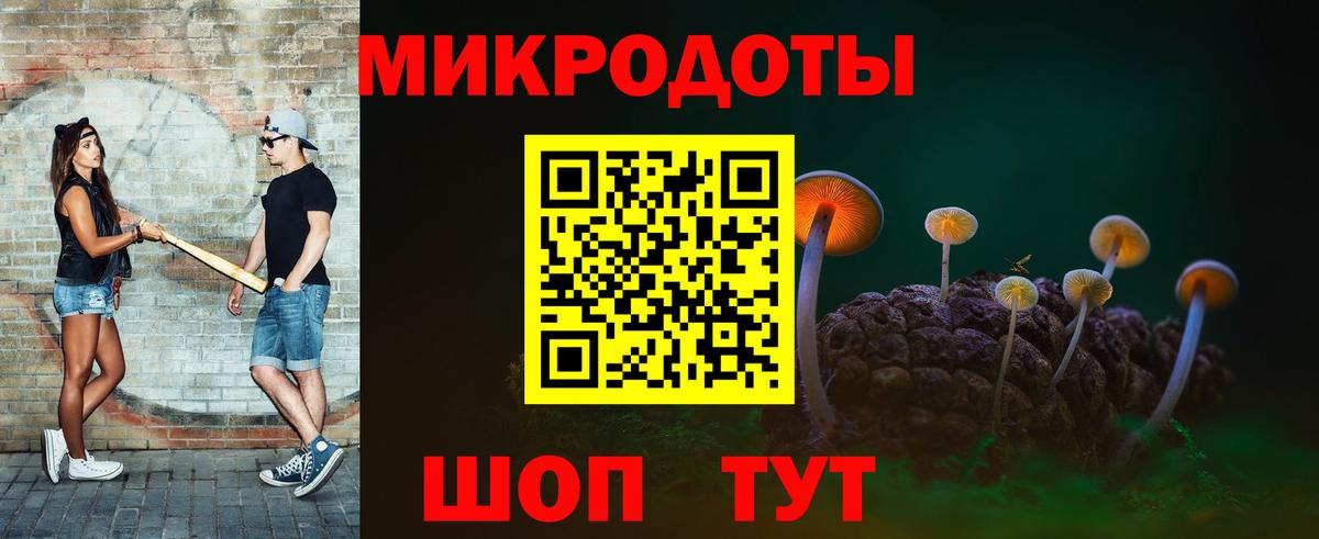 магазин  наркотиков  Псилоцибиновые грибы GOLDEN TEACHER  Вход с VPN  Белгород 