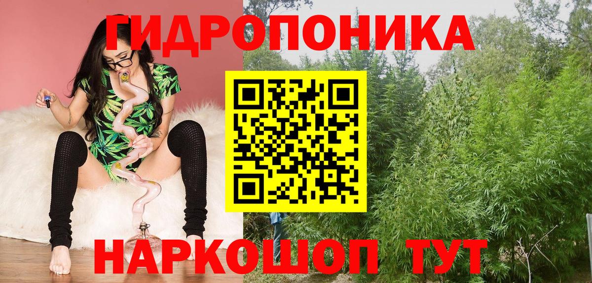 Белгород  Бошки марихуана сатива  Шишки марихуана LSD WEED  Бошки марихуана семена  Вход с VPN 